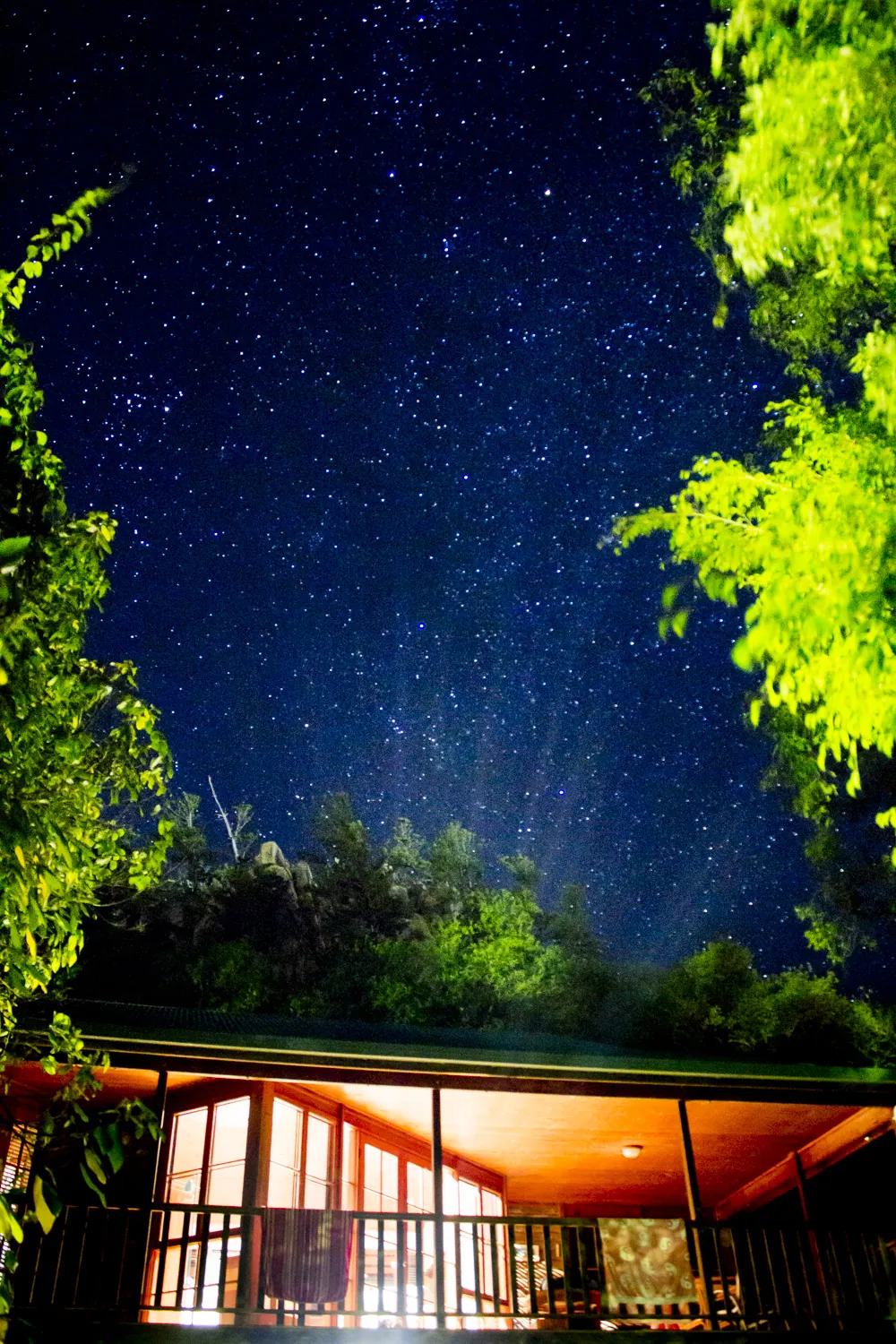 Photo by Matthew Adams