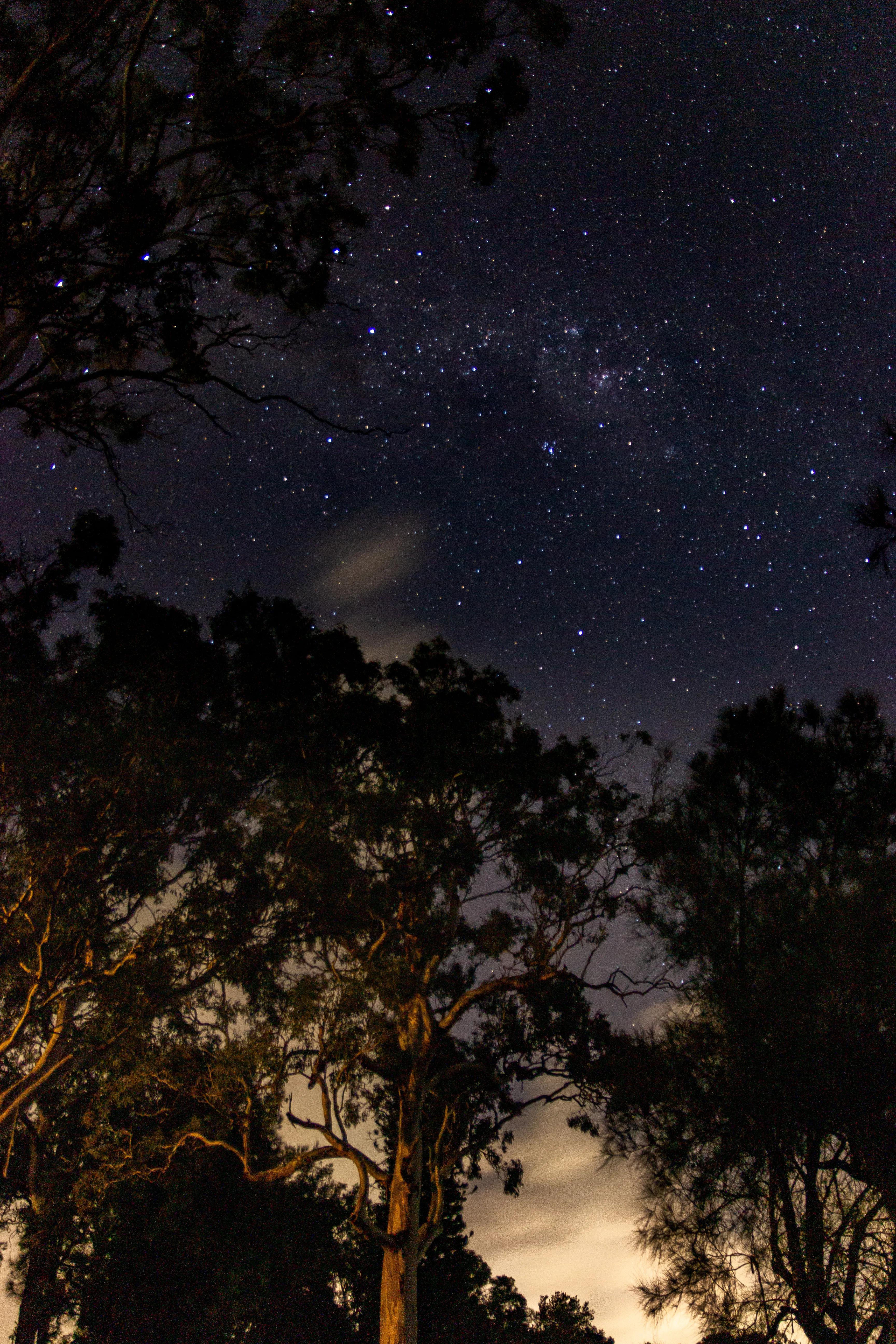 Photo by Matthew Adams