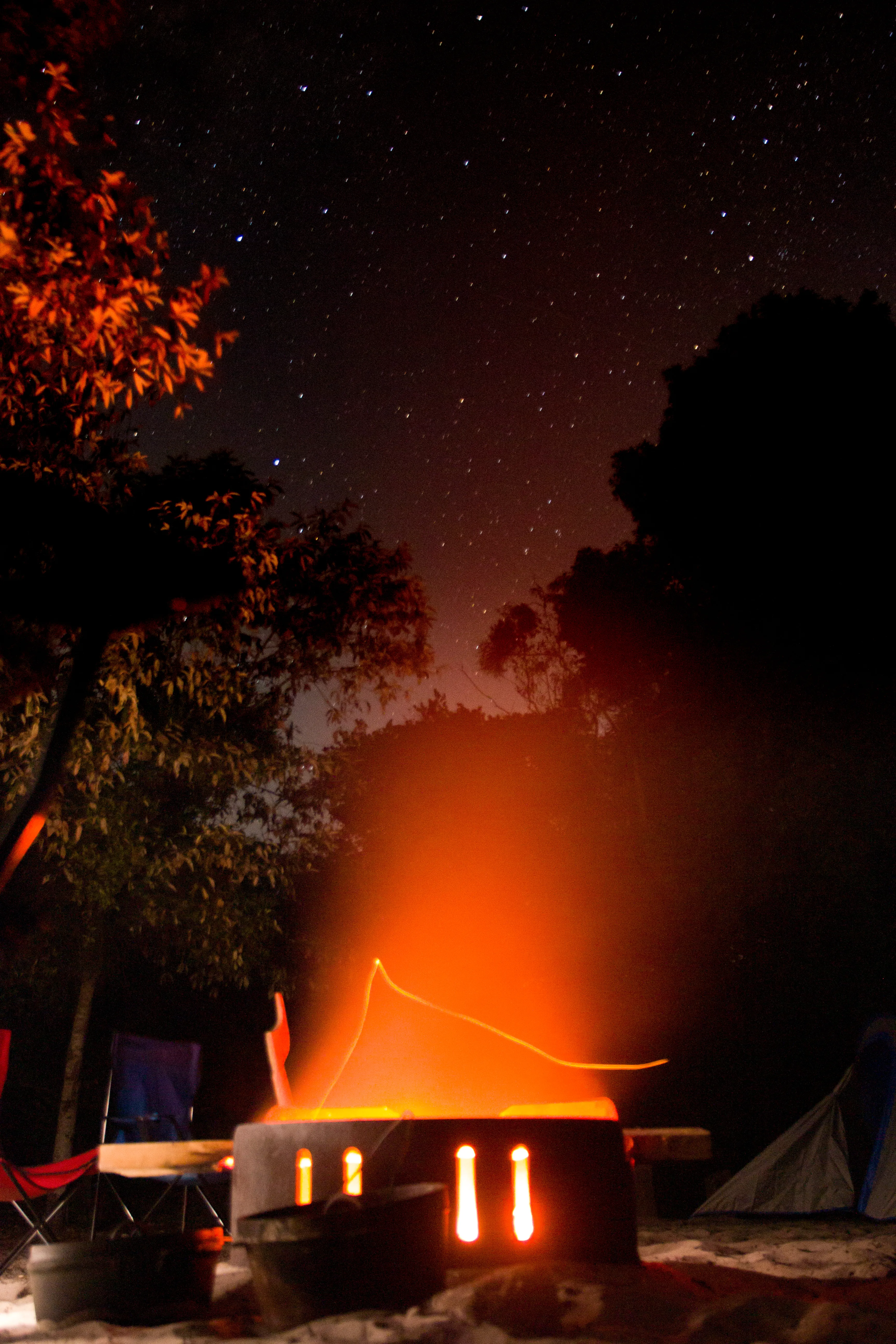 Photo by Matthew Adams