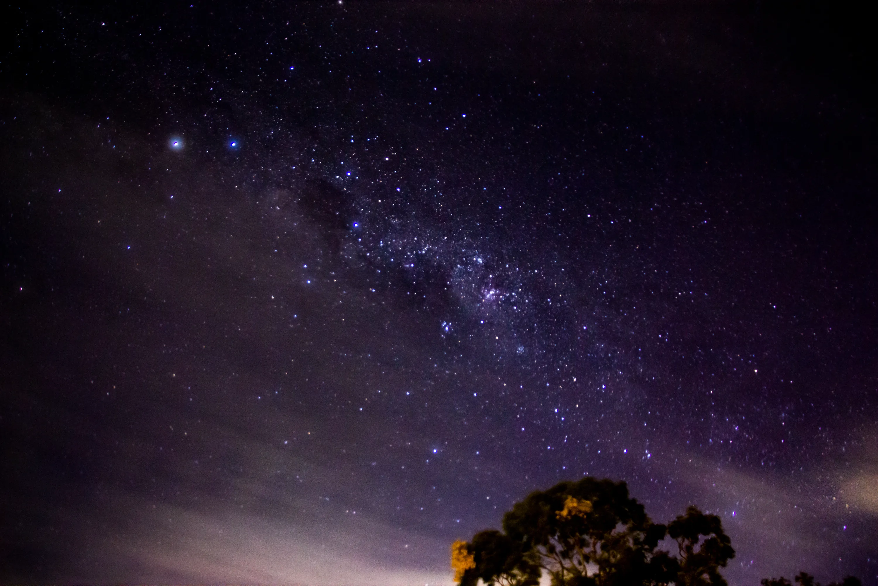 Photo by Matthew Adams