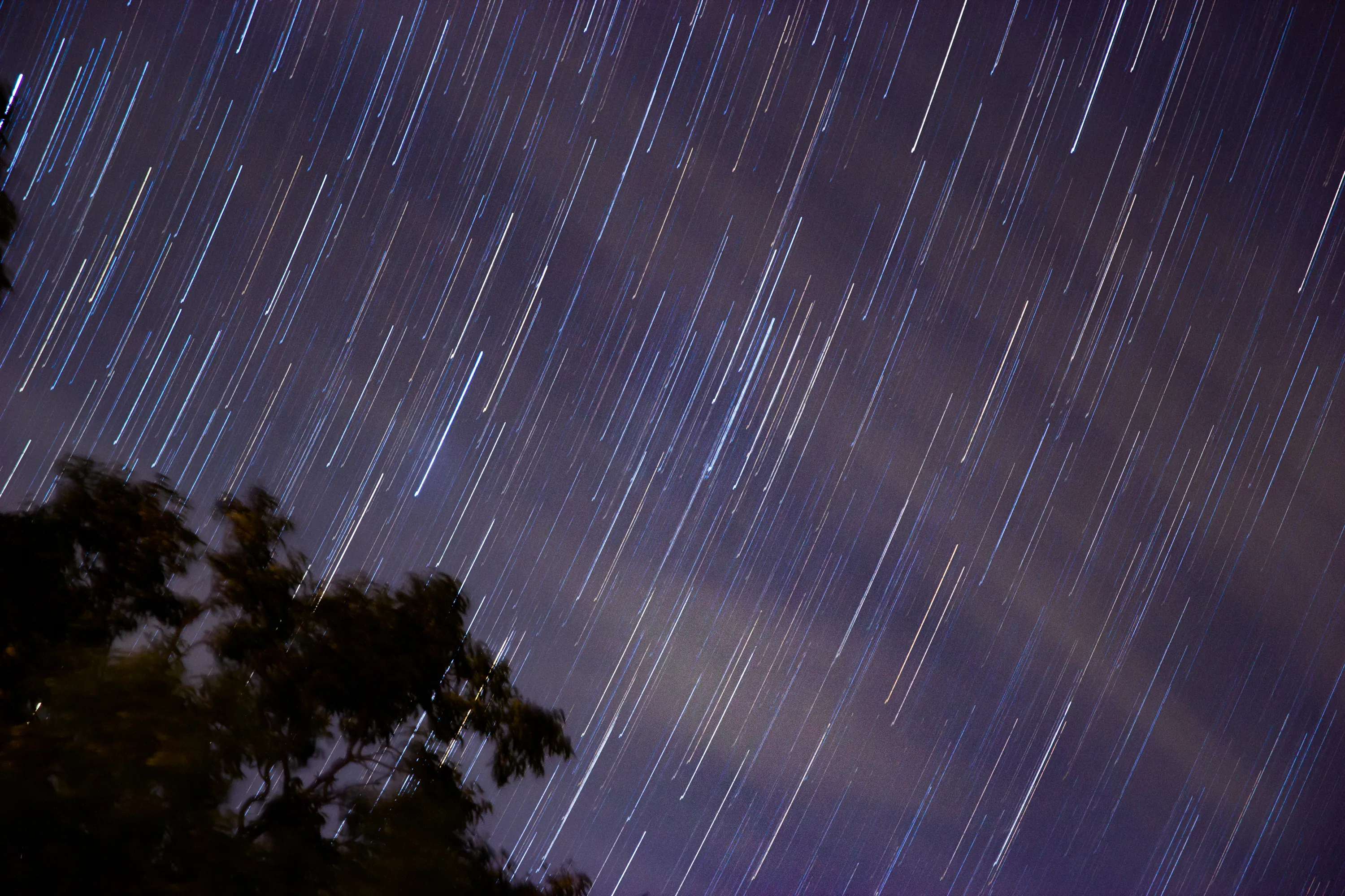 Photo by Matthew Adams